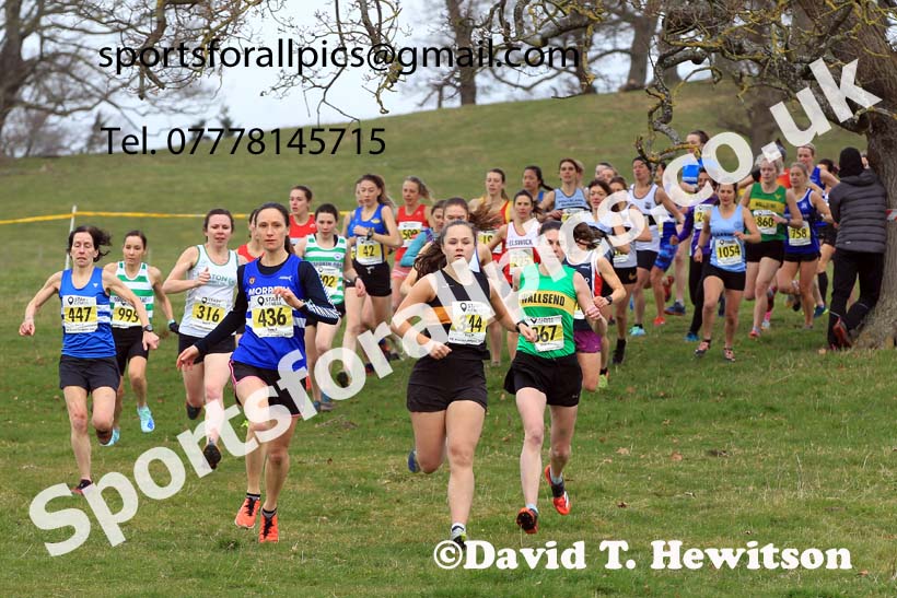 Senior Womens 2023 NEHL, Alnwick, Northumberland. Photo: David T. Hewitson/Sports for All Pics